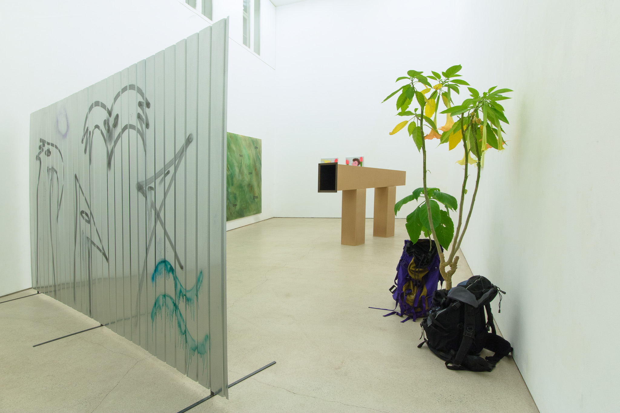 Installation view