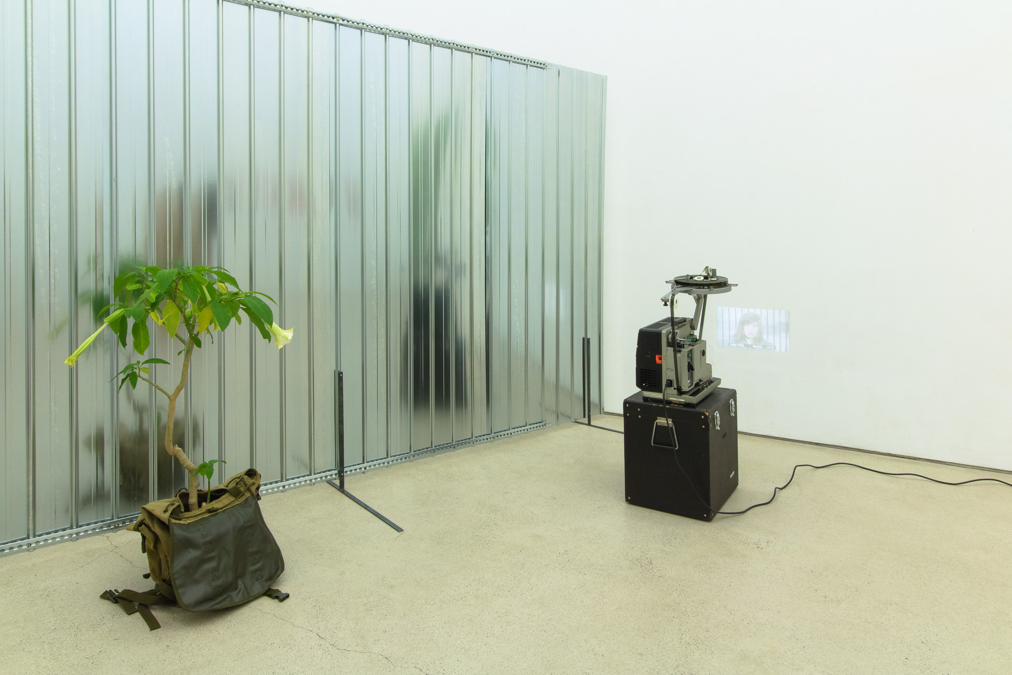 Installation view