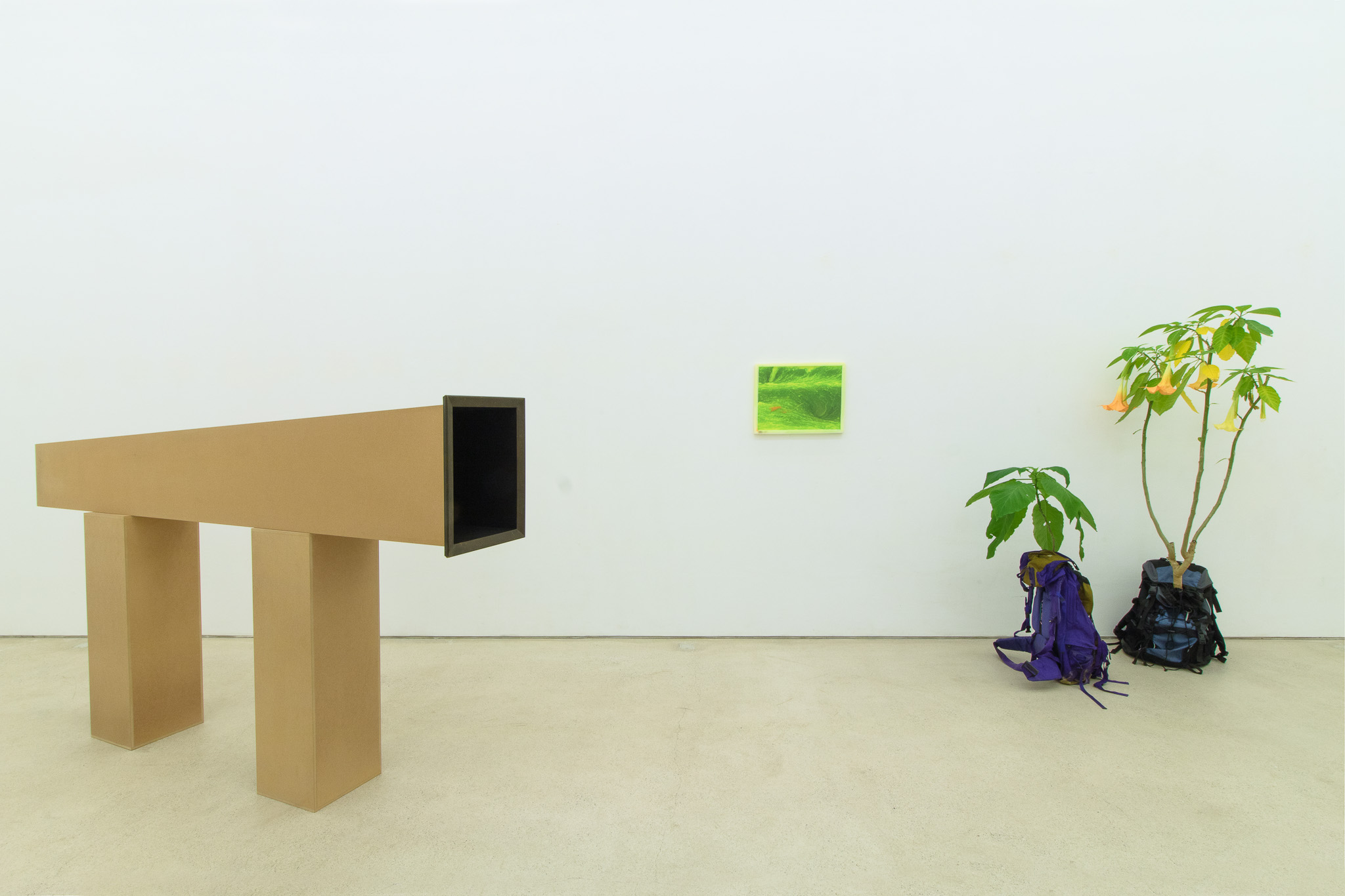 Installation view
