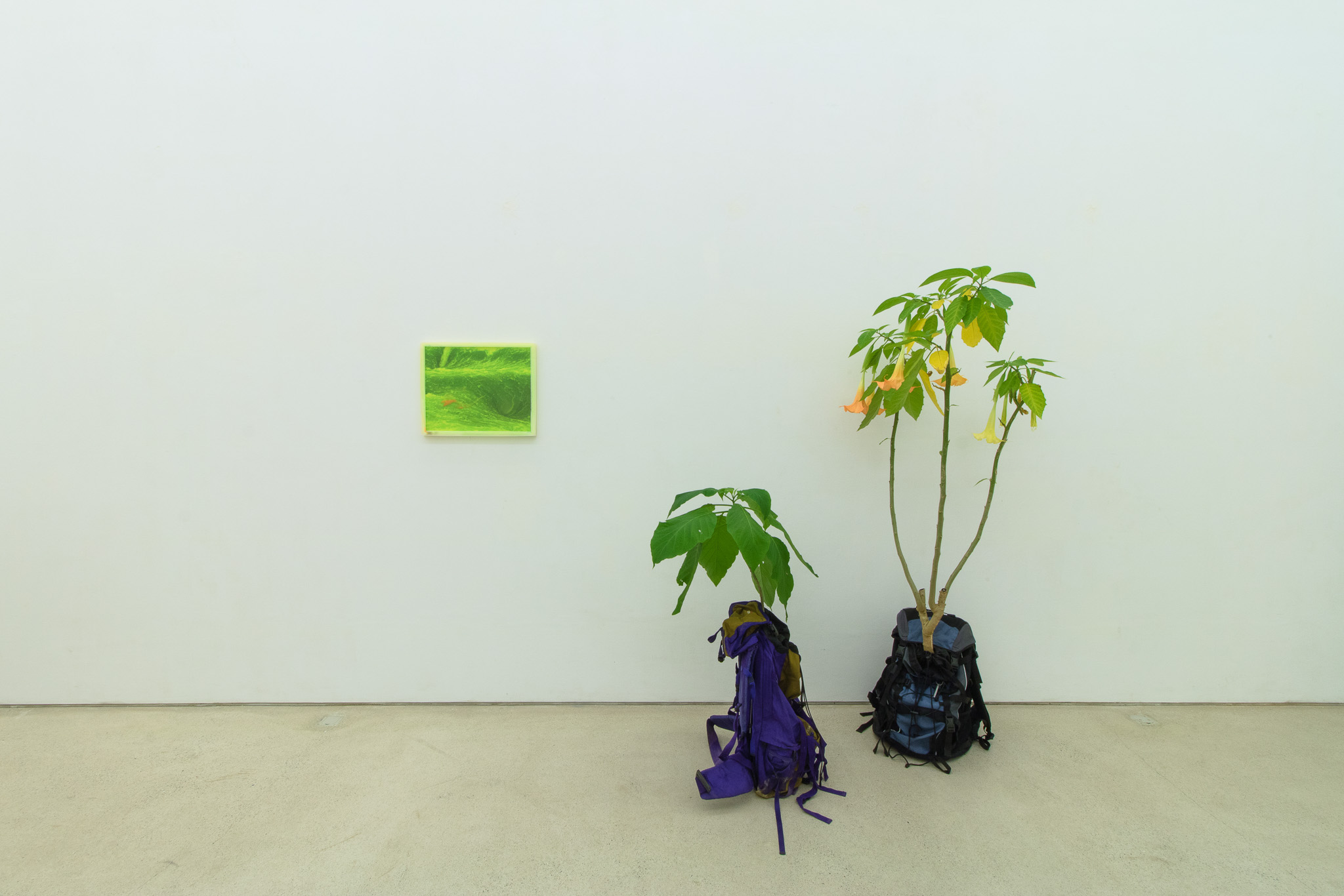 Installation view